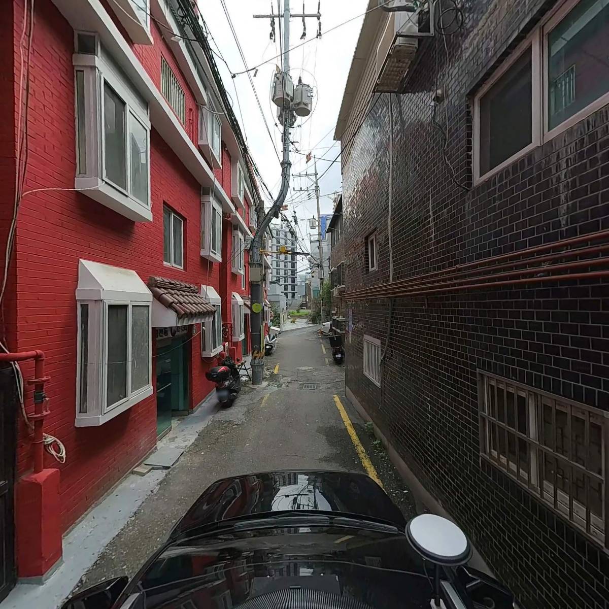 시노픽스 (SCENOPIX)_4