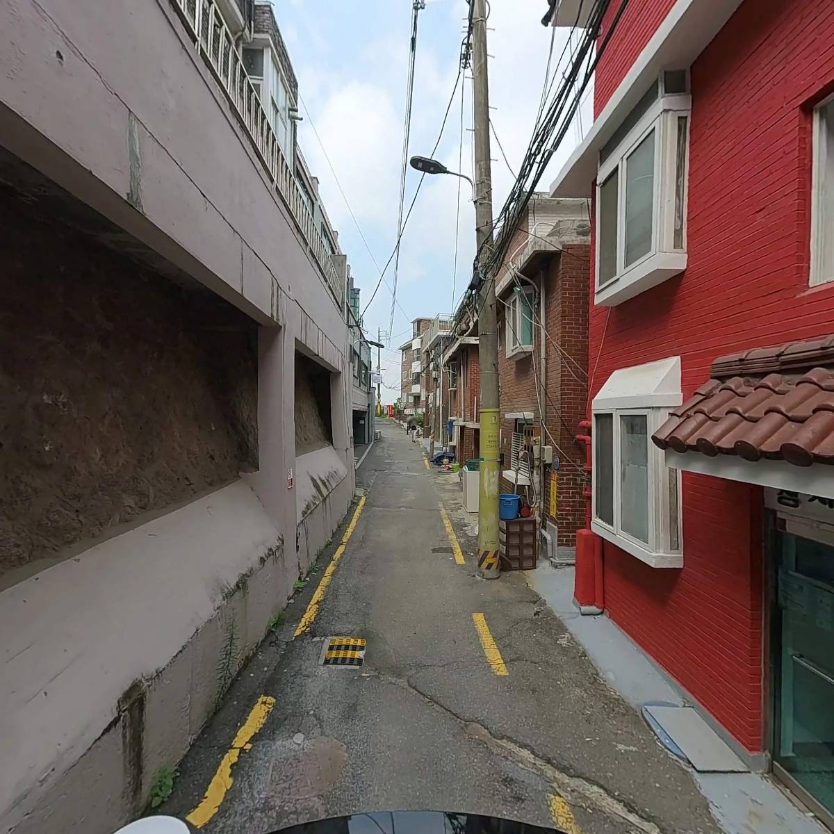 시노픽스 (SCENOPIX)_2