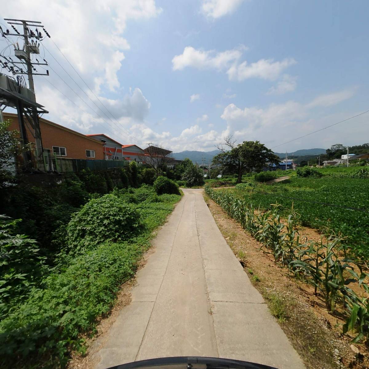 코와스생활과학_2