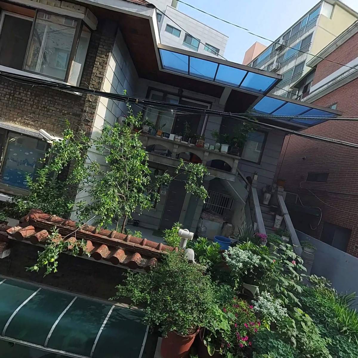 왓더퍽핏( WTFF)