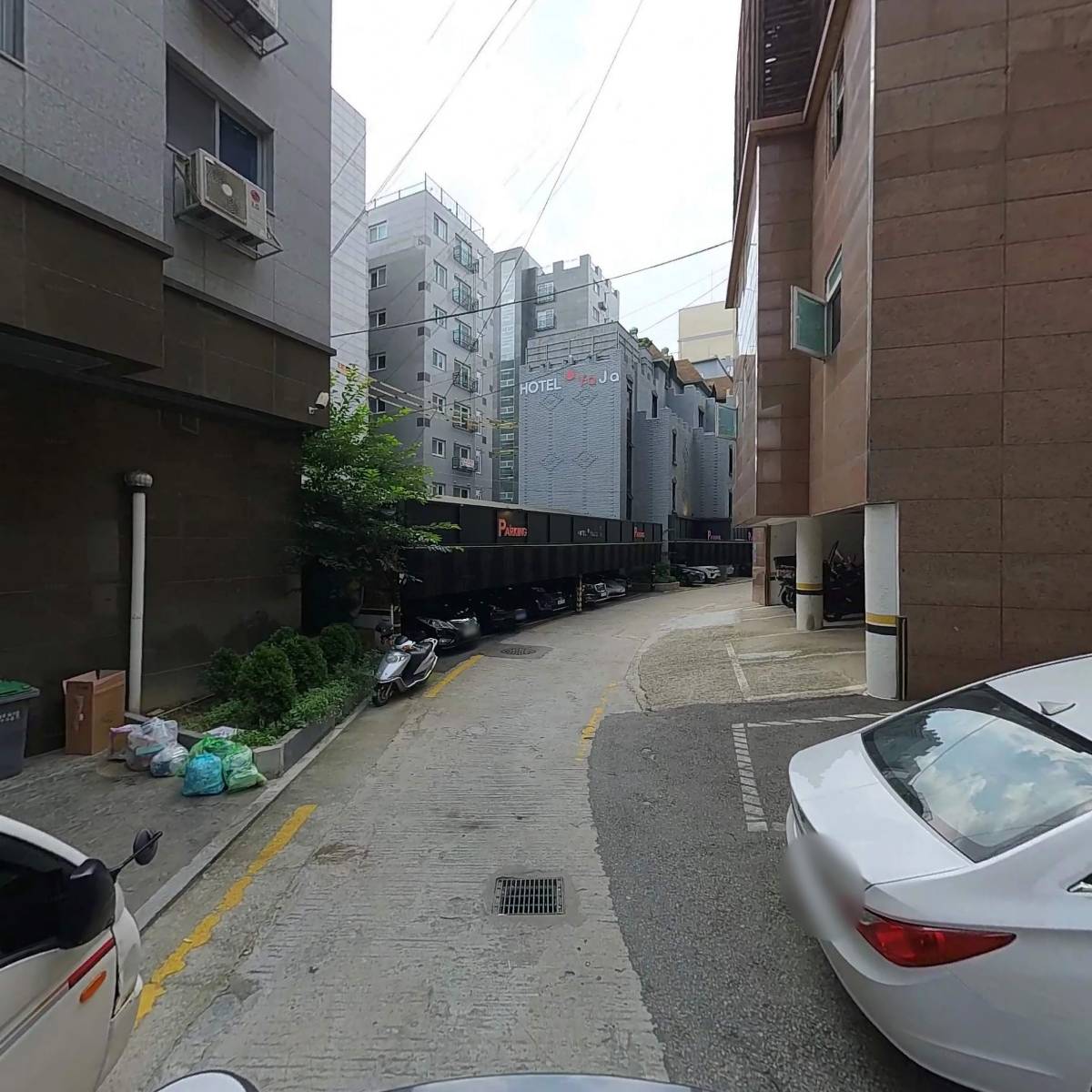 펄스테이_2