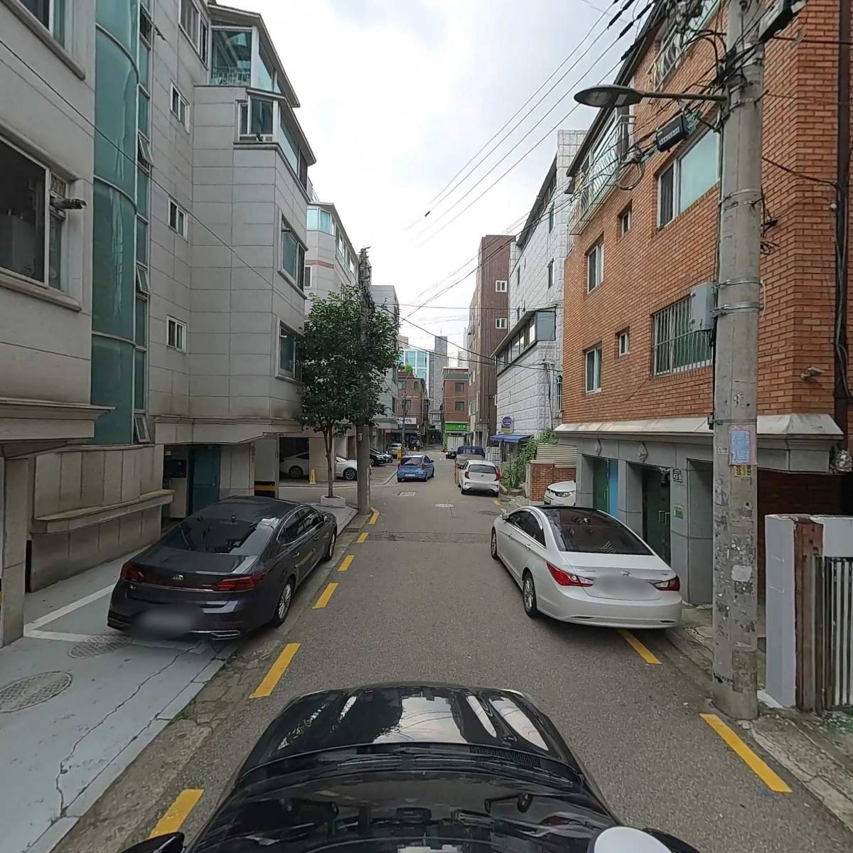 정직한언니들_4
