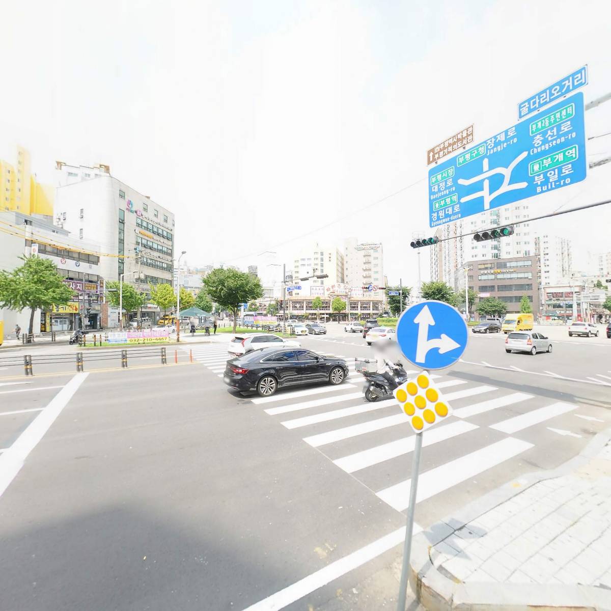 인셀덤SGM그룹_3
