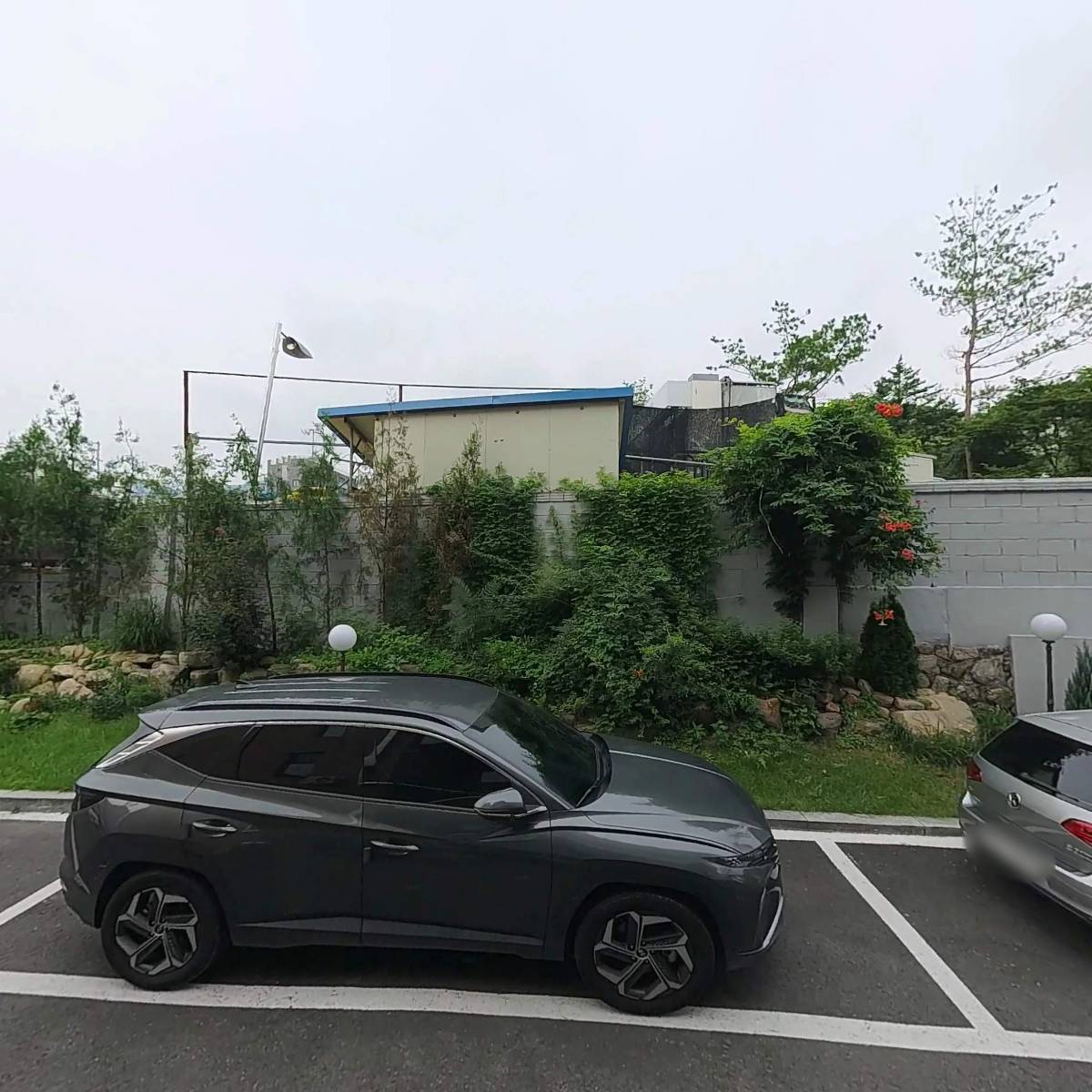 리마르코