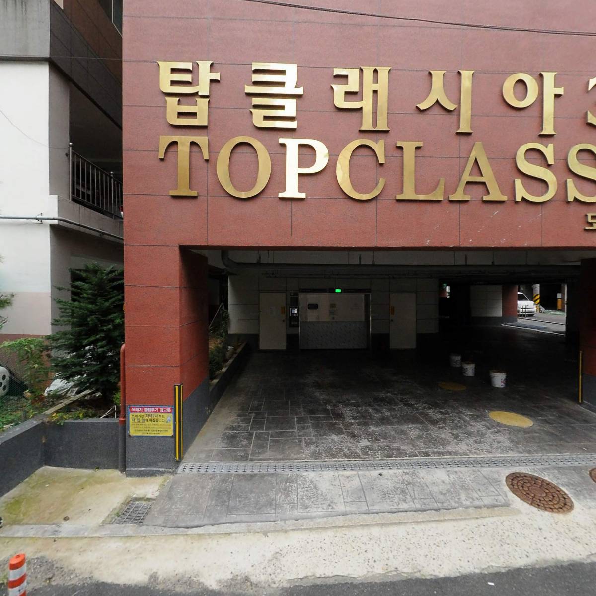 태나뷰티