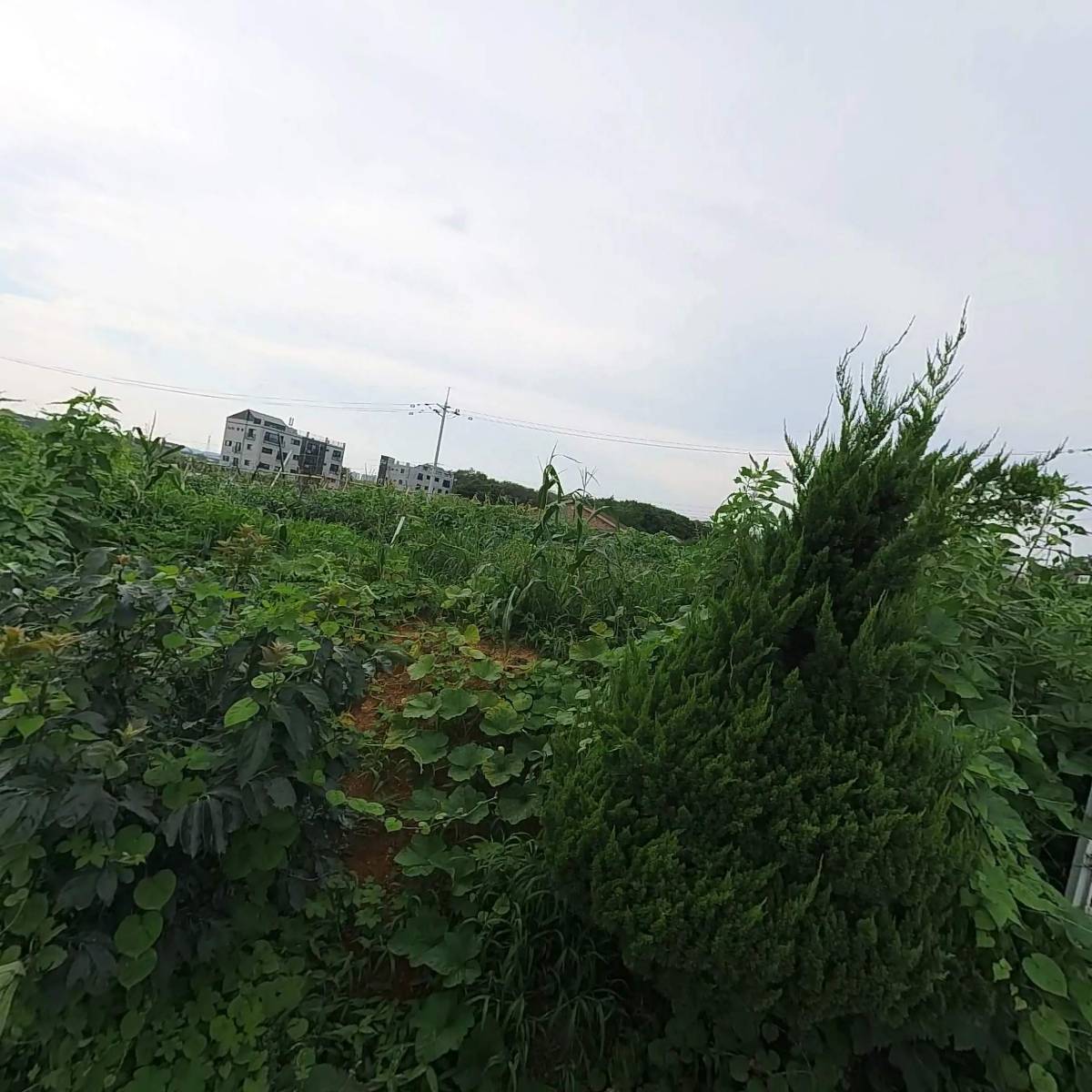 에덴산업(주)