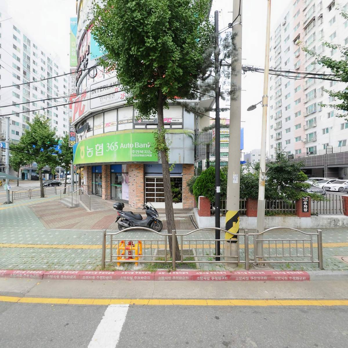 느그집 오리 주물럭
