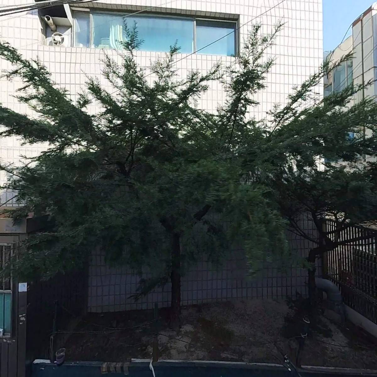강북제일항외과의원