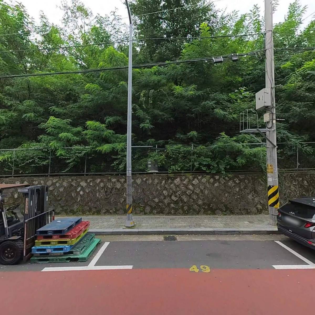 새박_3