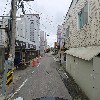 백합_2