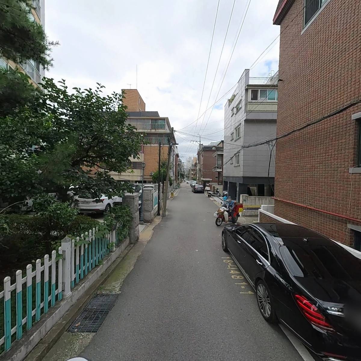 프렌치파인_2