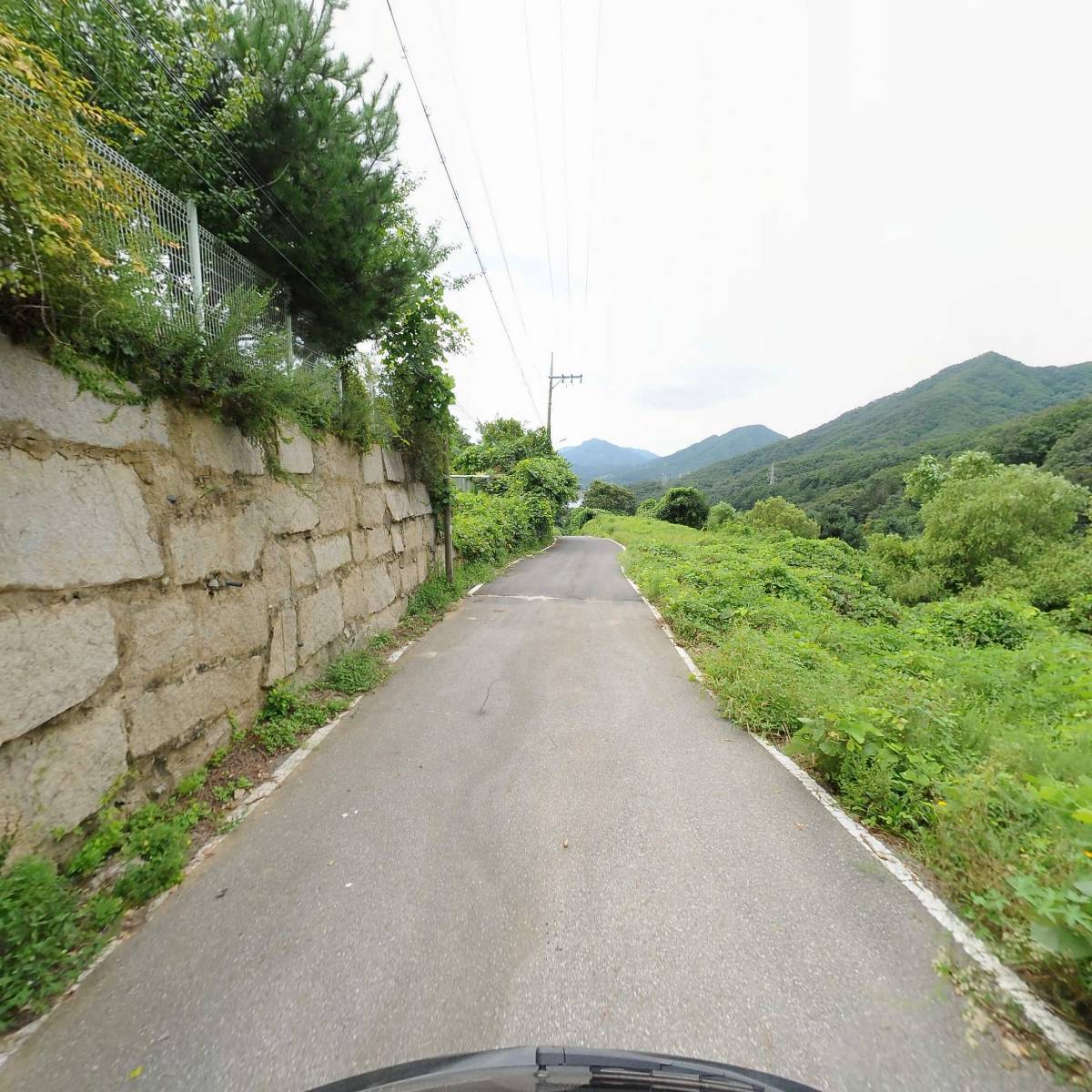 농업회사법인 주식회사 비에스연구개발_2