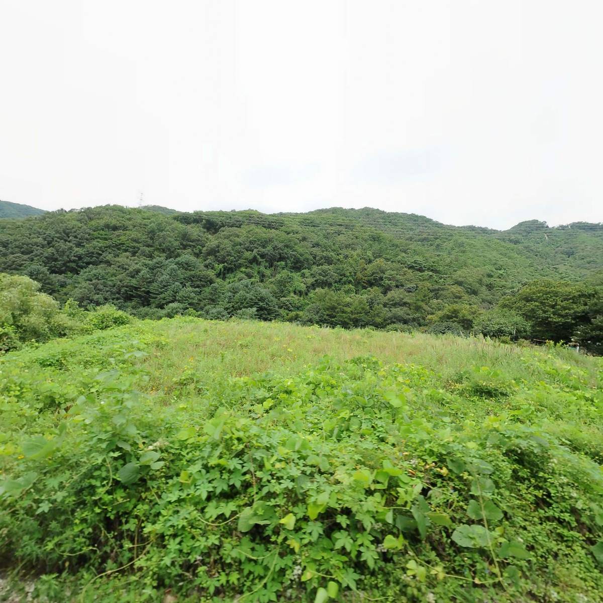 농업회사법인 주식회사 비에스연구개발_3