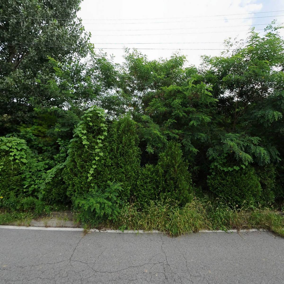 주식회사 모세쉬레드_3