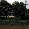 장백물산(주)