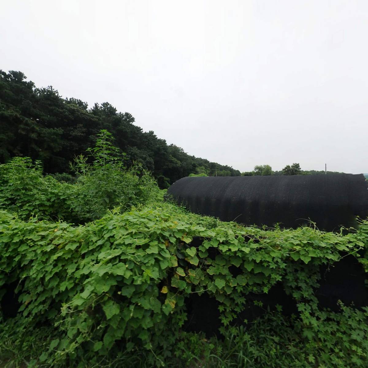 신창가구