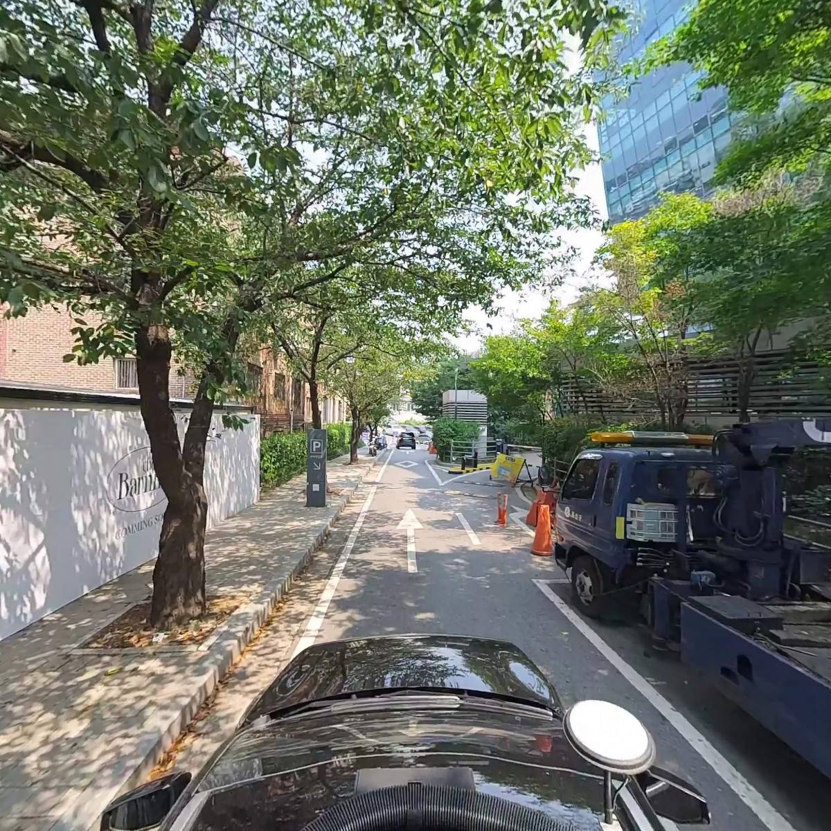 오르피제_4