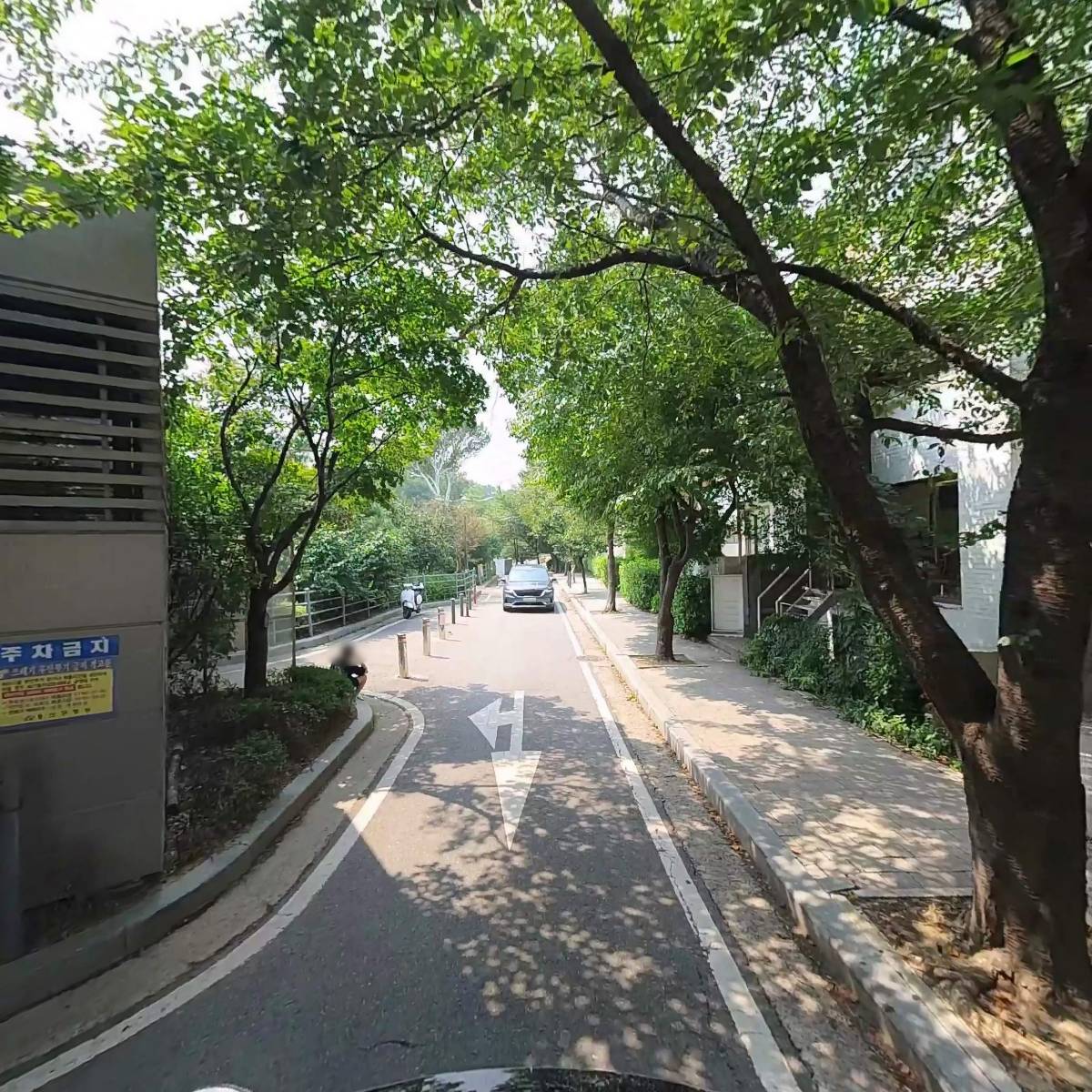 오르피제_2