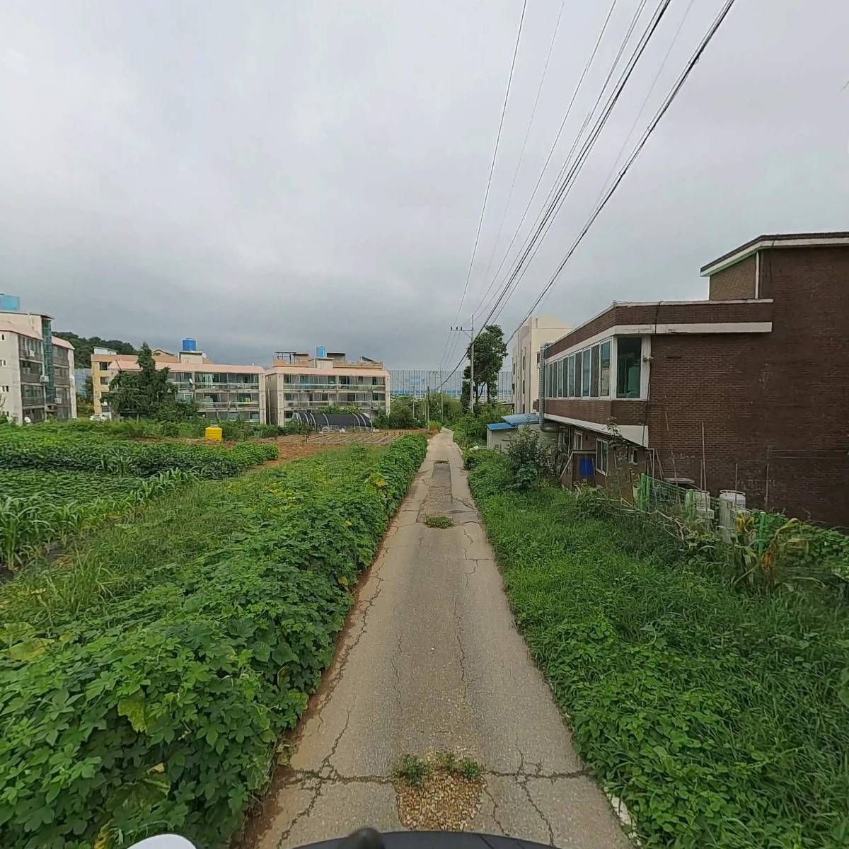 주식회사 대영농산_2