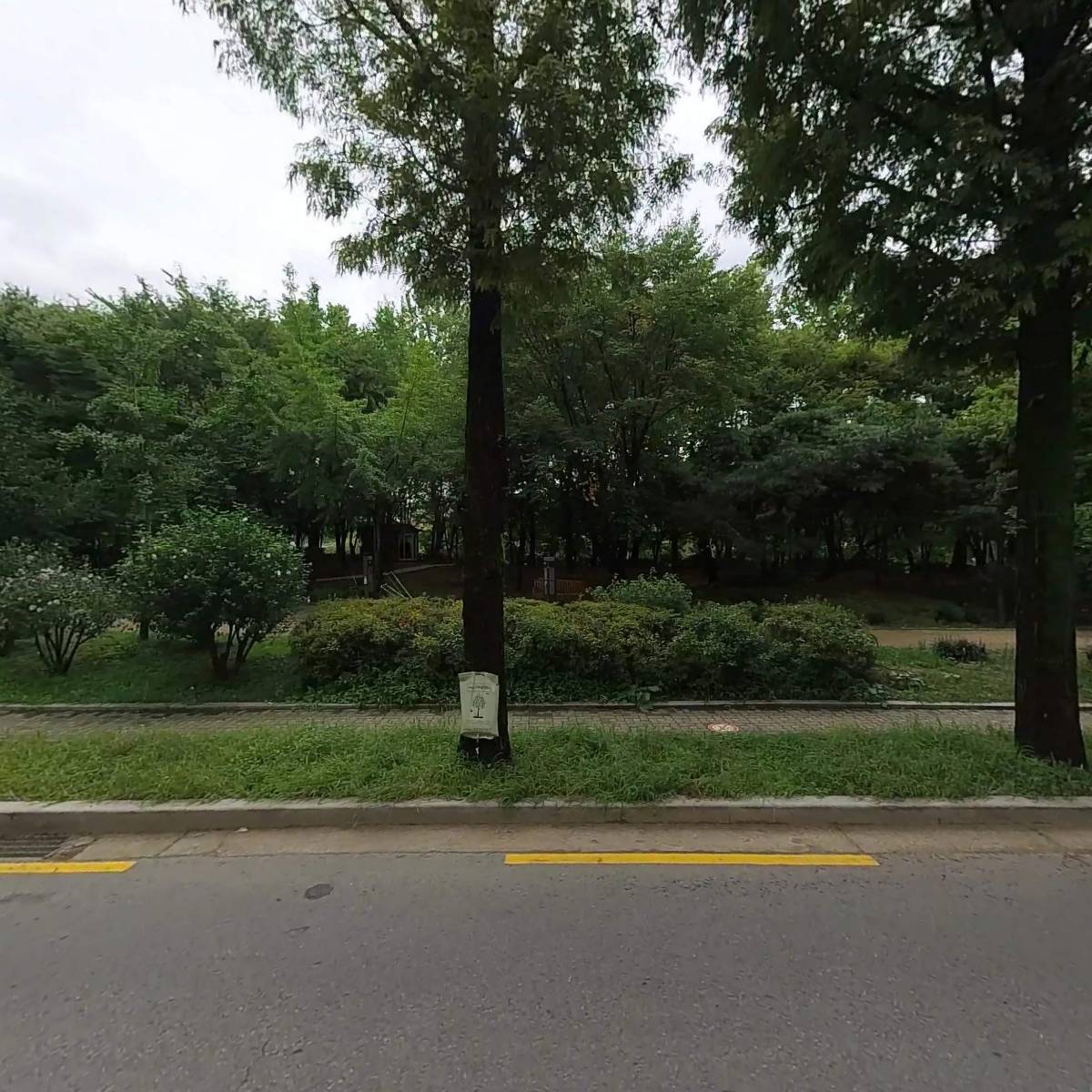 (주)세바토이