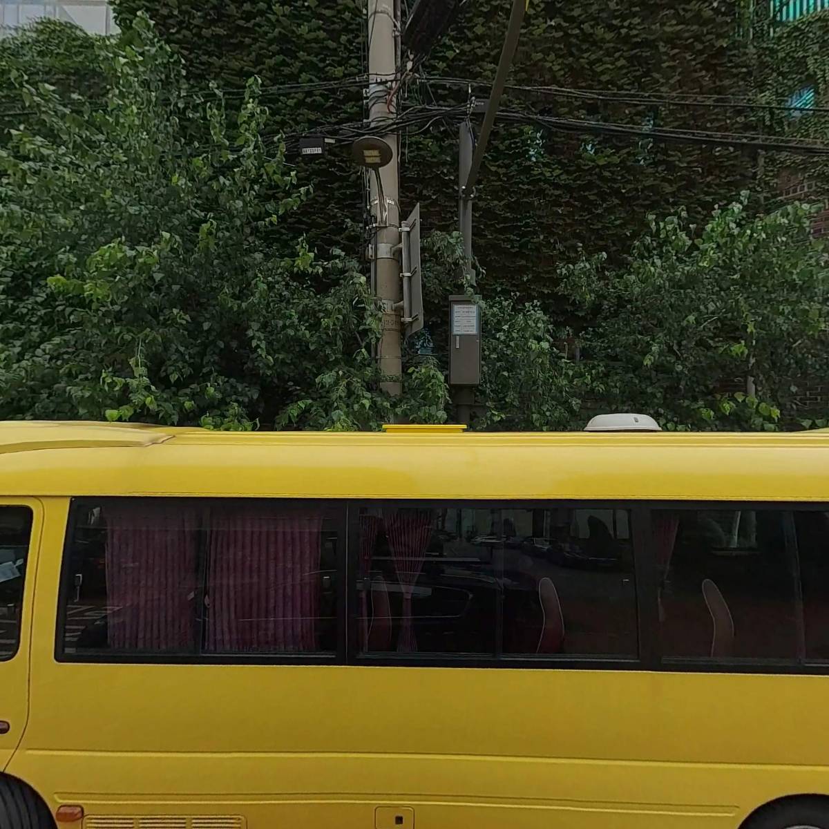 서울시 강남구 초원유치원