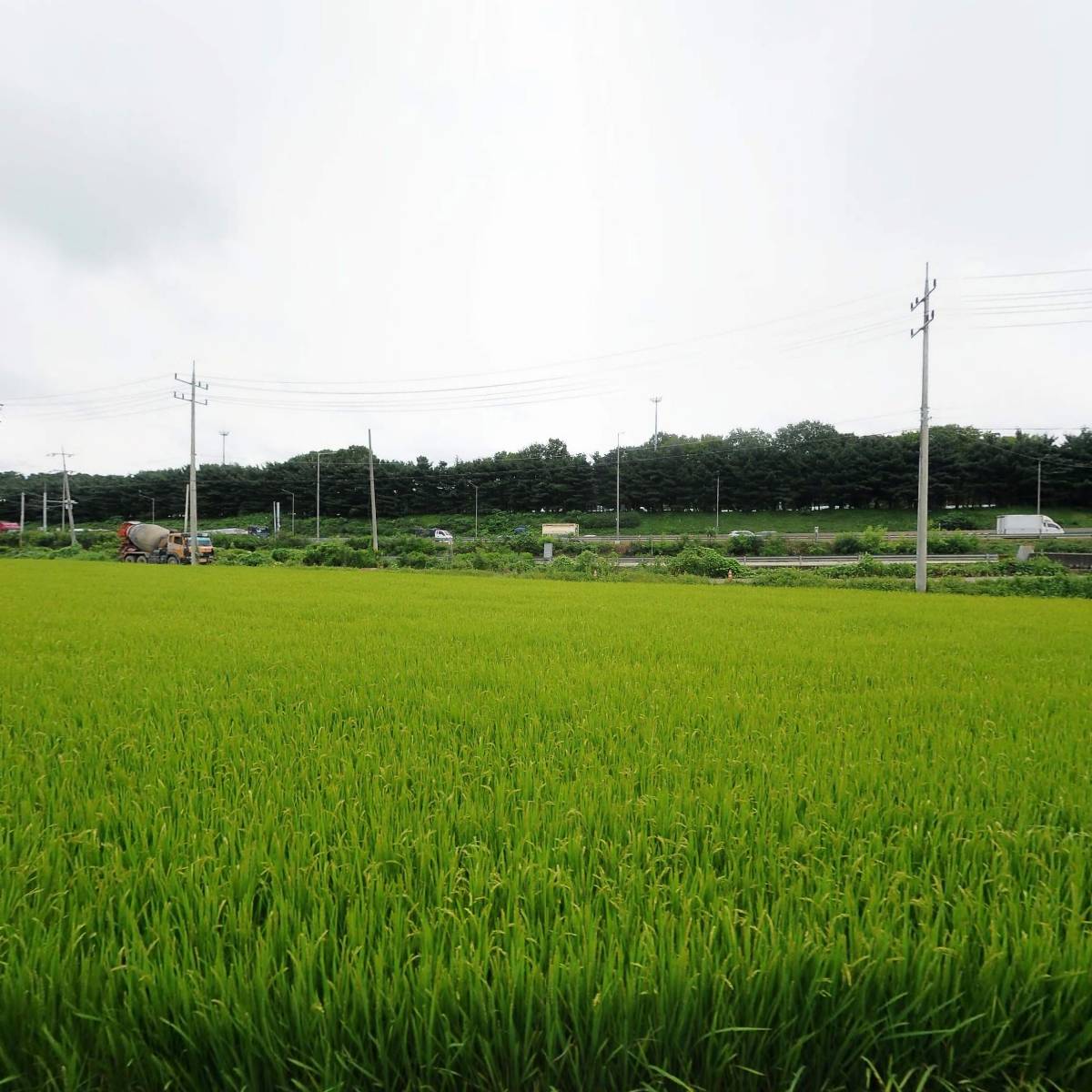이엘투엘（주）_3