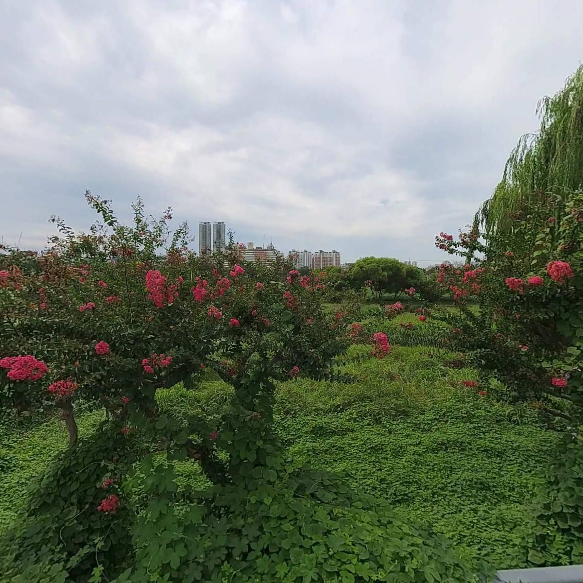 (주)대은베어링