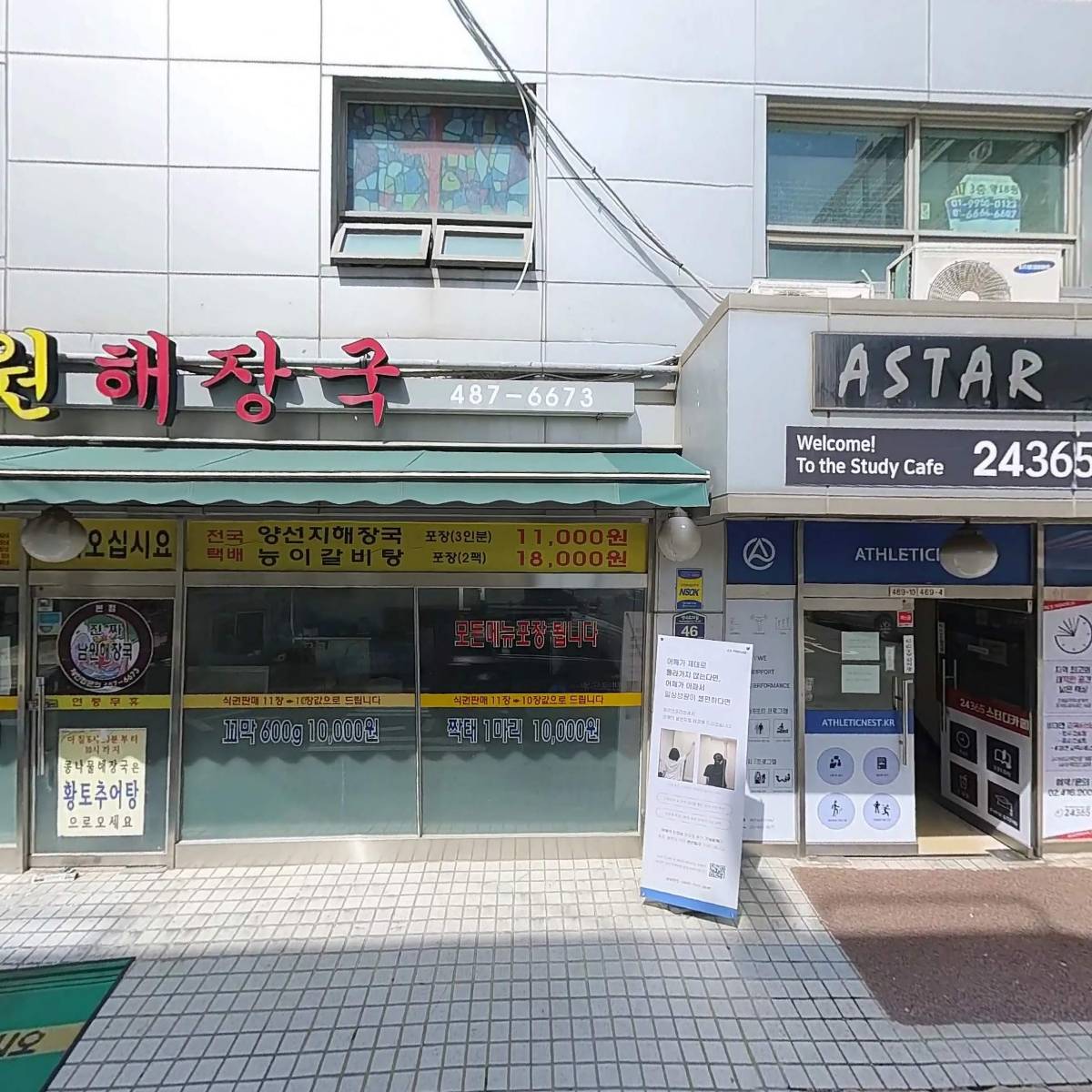 히비스_3