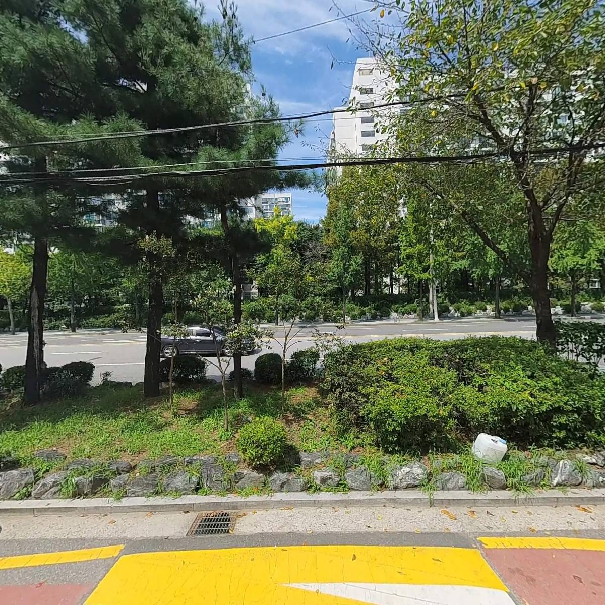 효미역_3