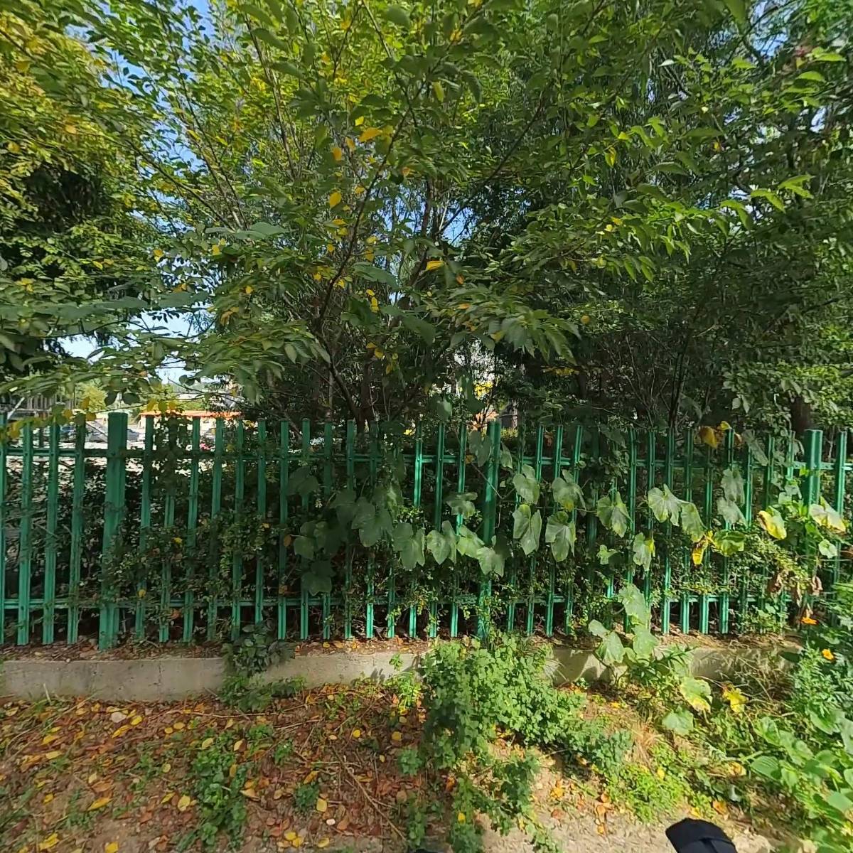 광주광역시 남구 쌀 영농조합법인_3