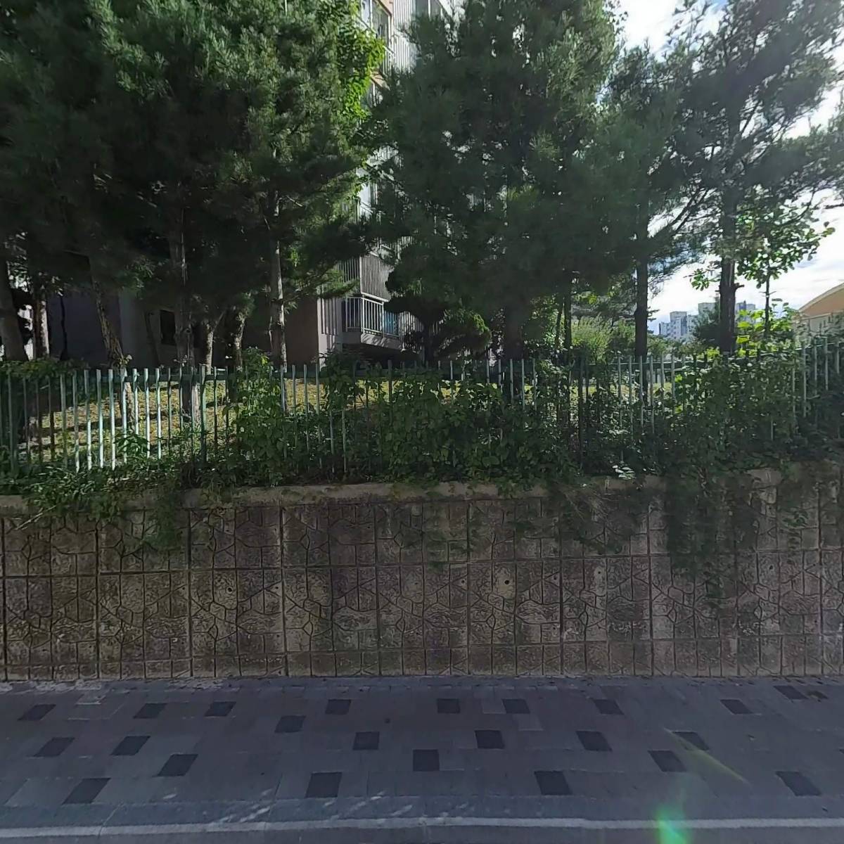 윤은자
