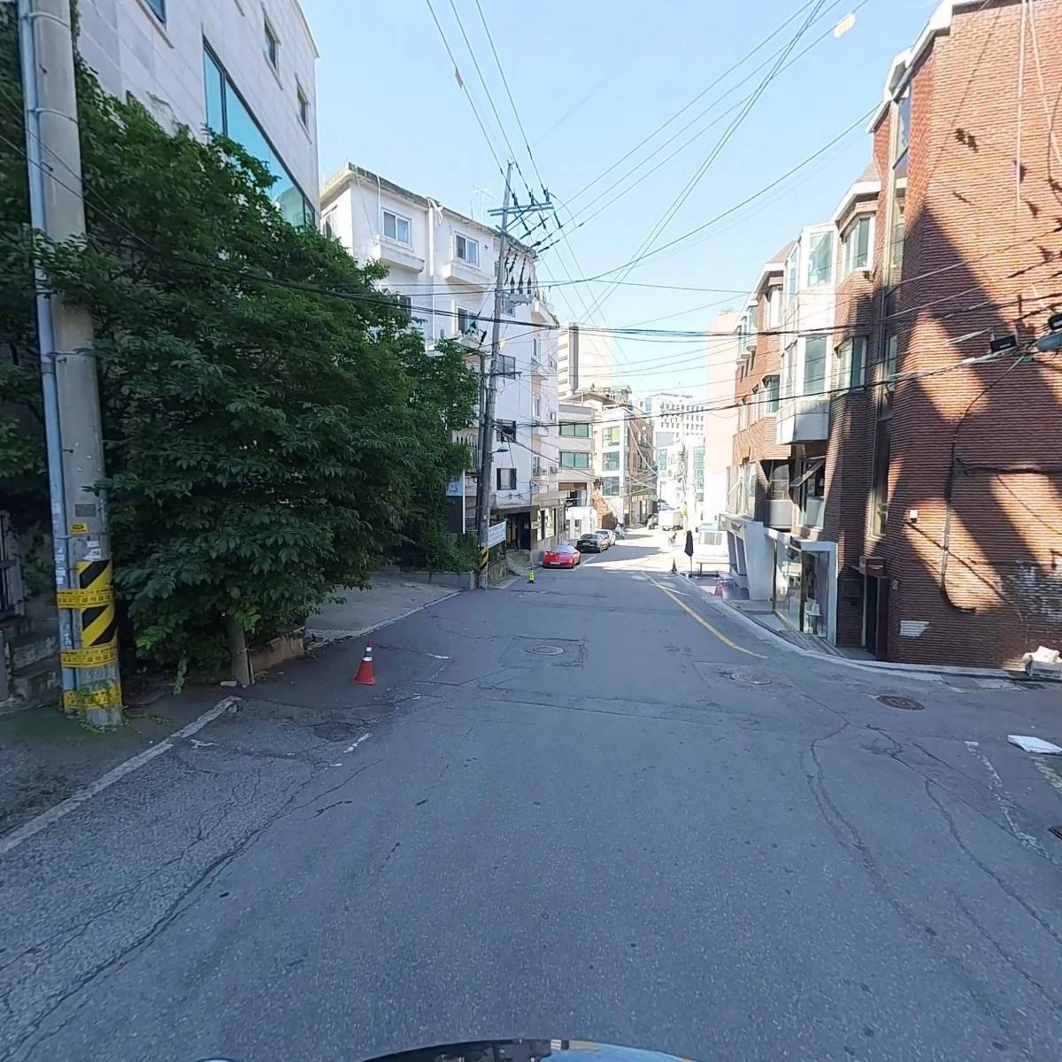 레보스코리아_2