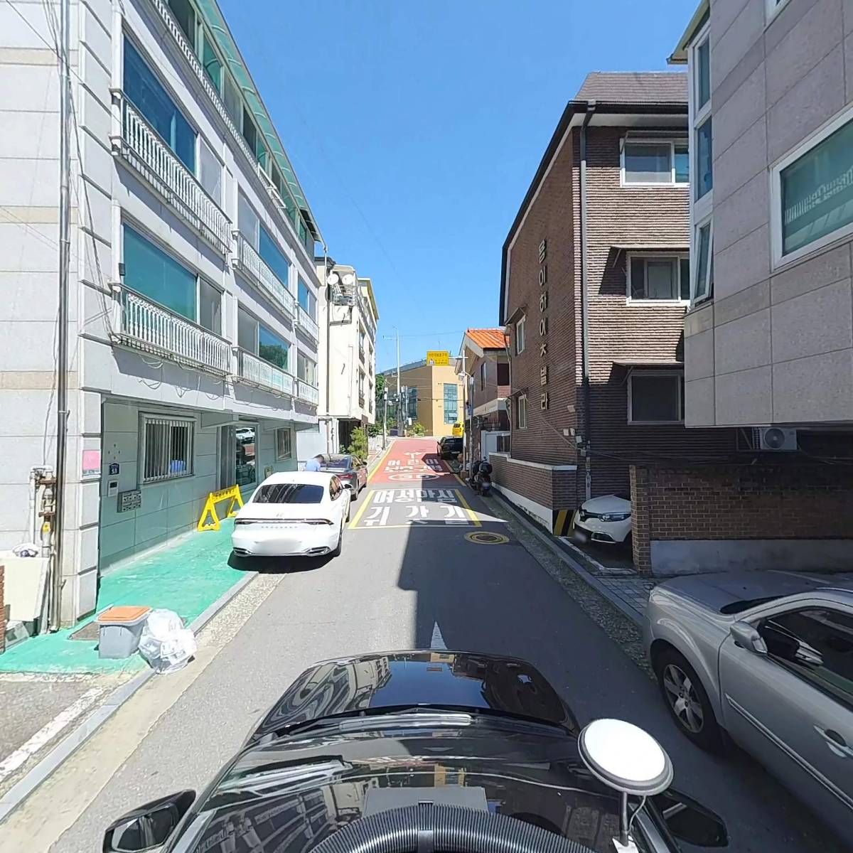 린채_4