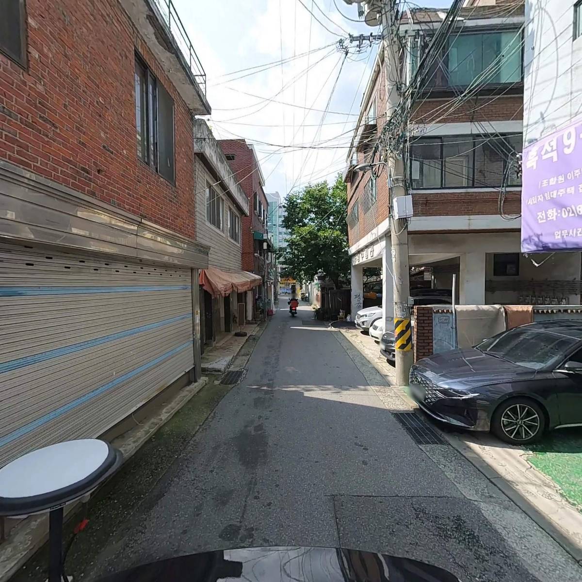 블렌도프_2
