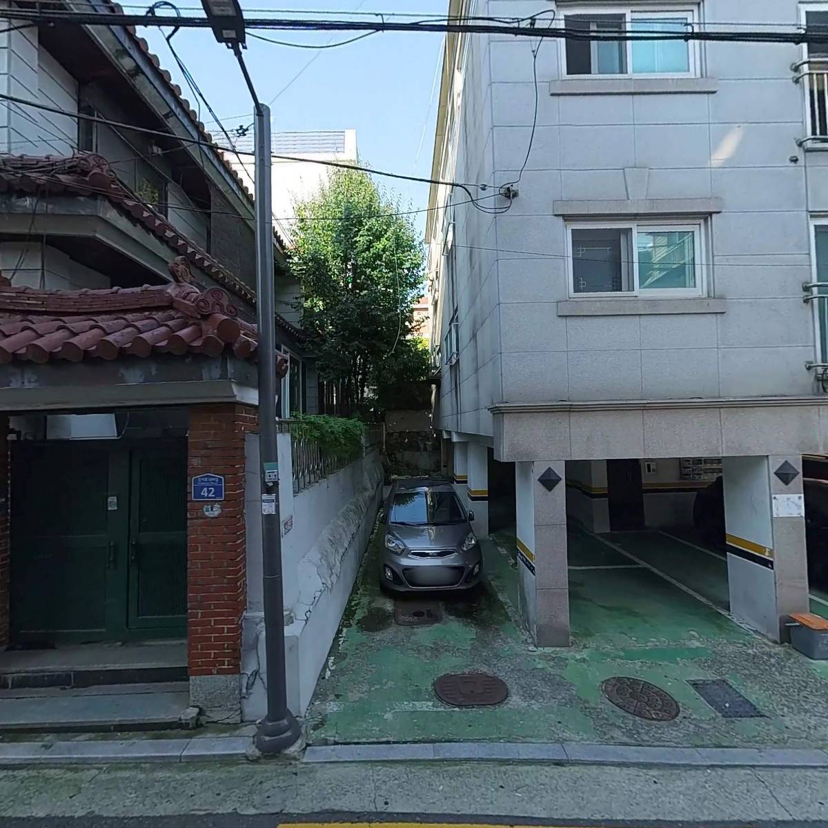 트리피카(Tripicka)_3