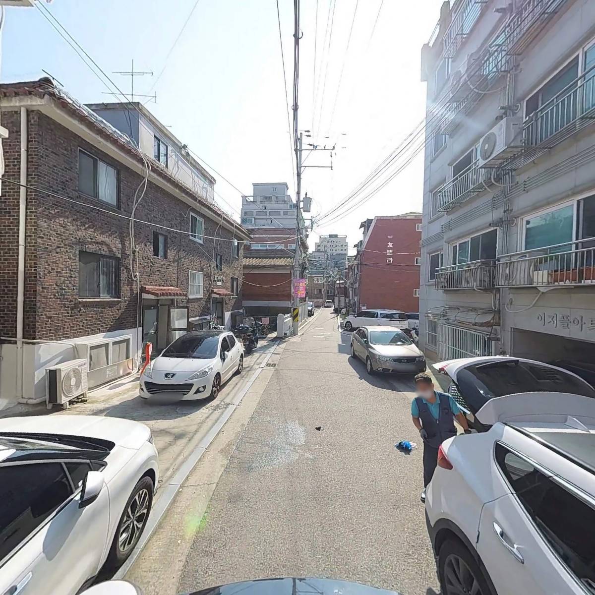 더레드트리주식회사_2