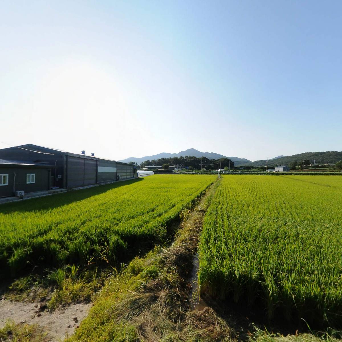 해온담_3