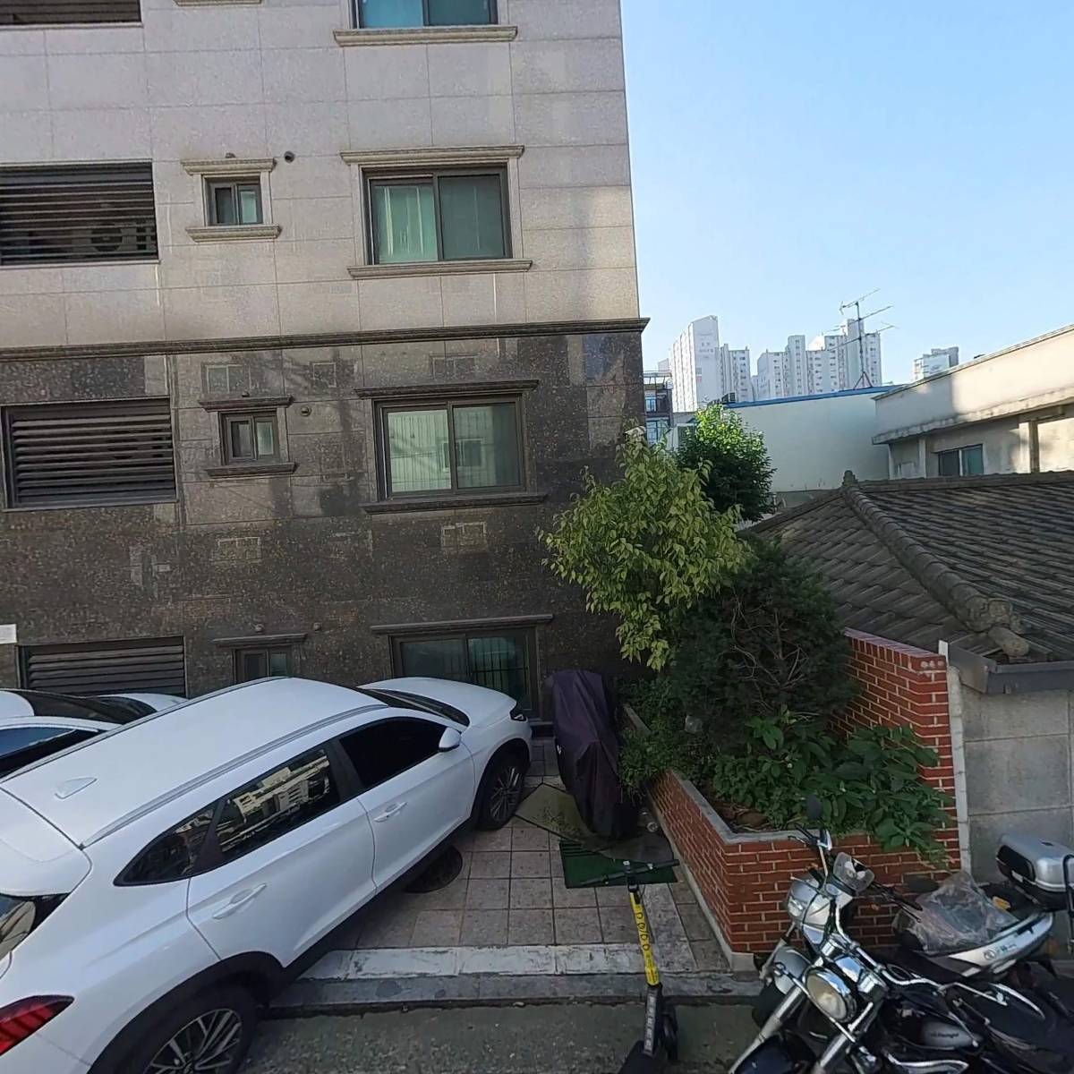 (주)월씨