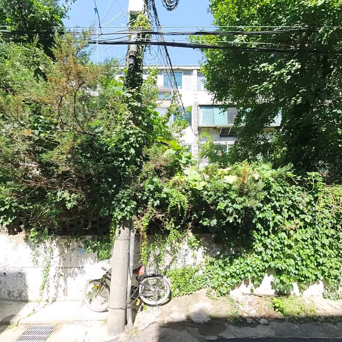 주식회사 이씨와이