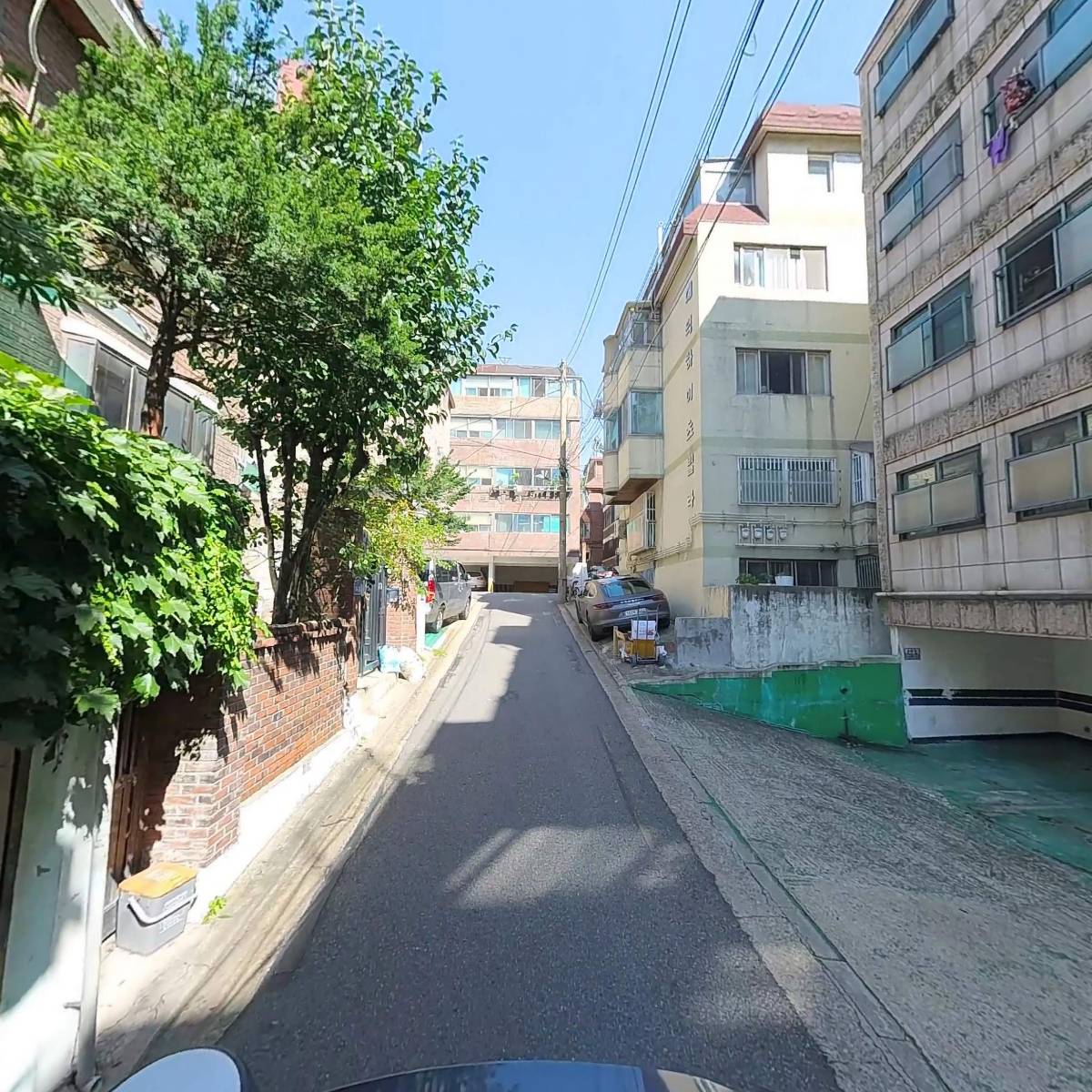 골든24_2