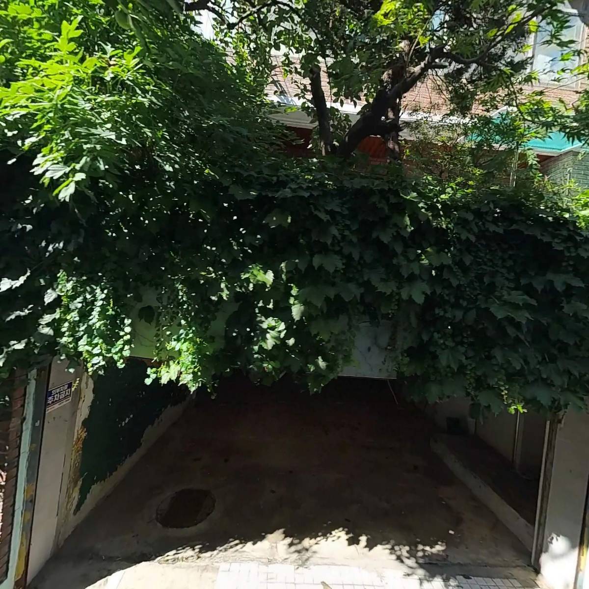 골든24