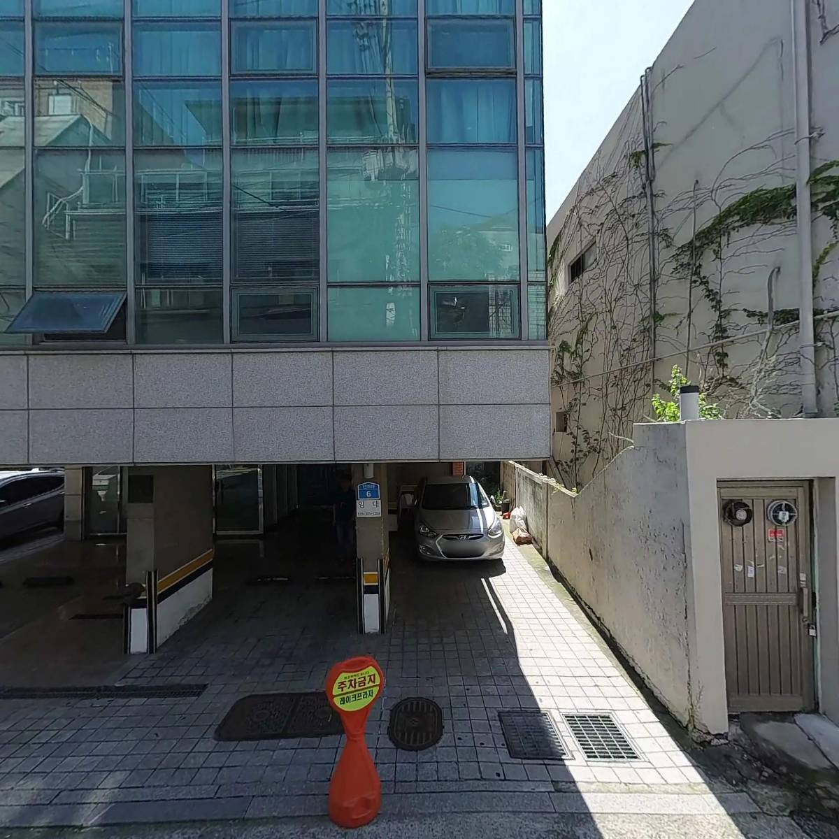 마츠투스