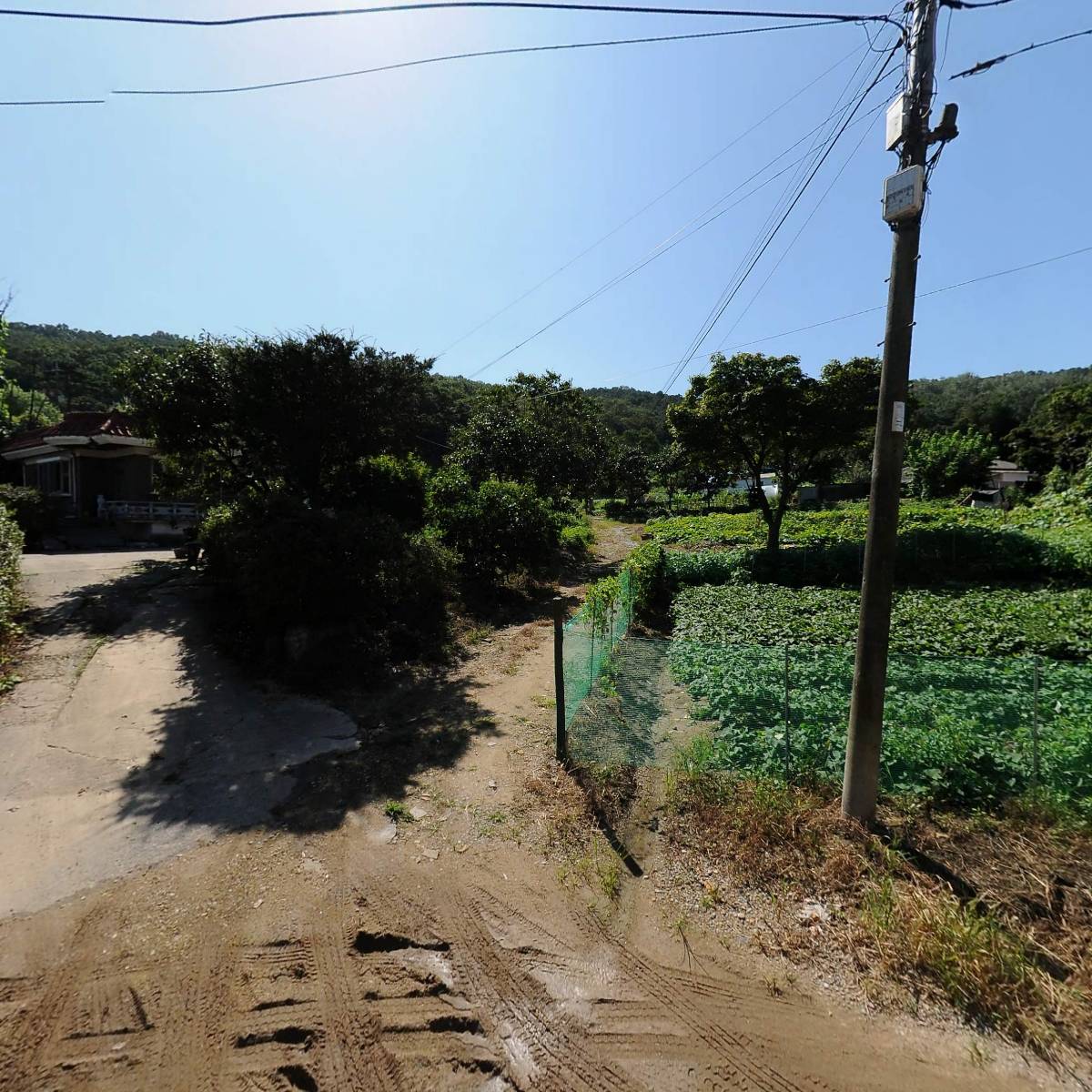 프리모학생복_3