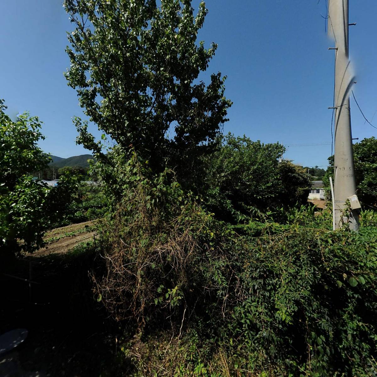 포천노곡교회_3