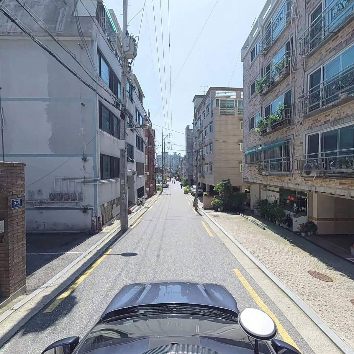 자연기록_4