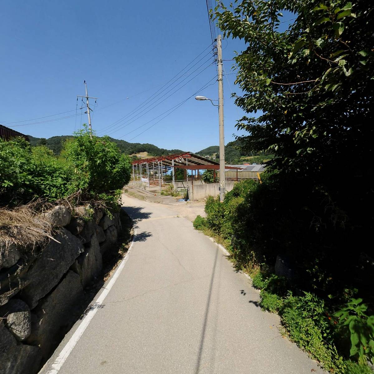 주식회사 자유인_2