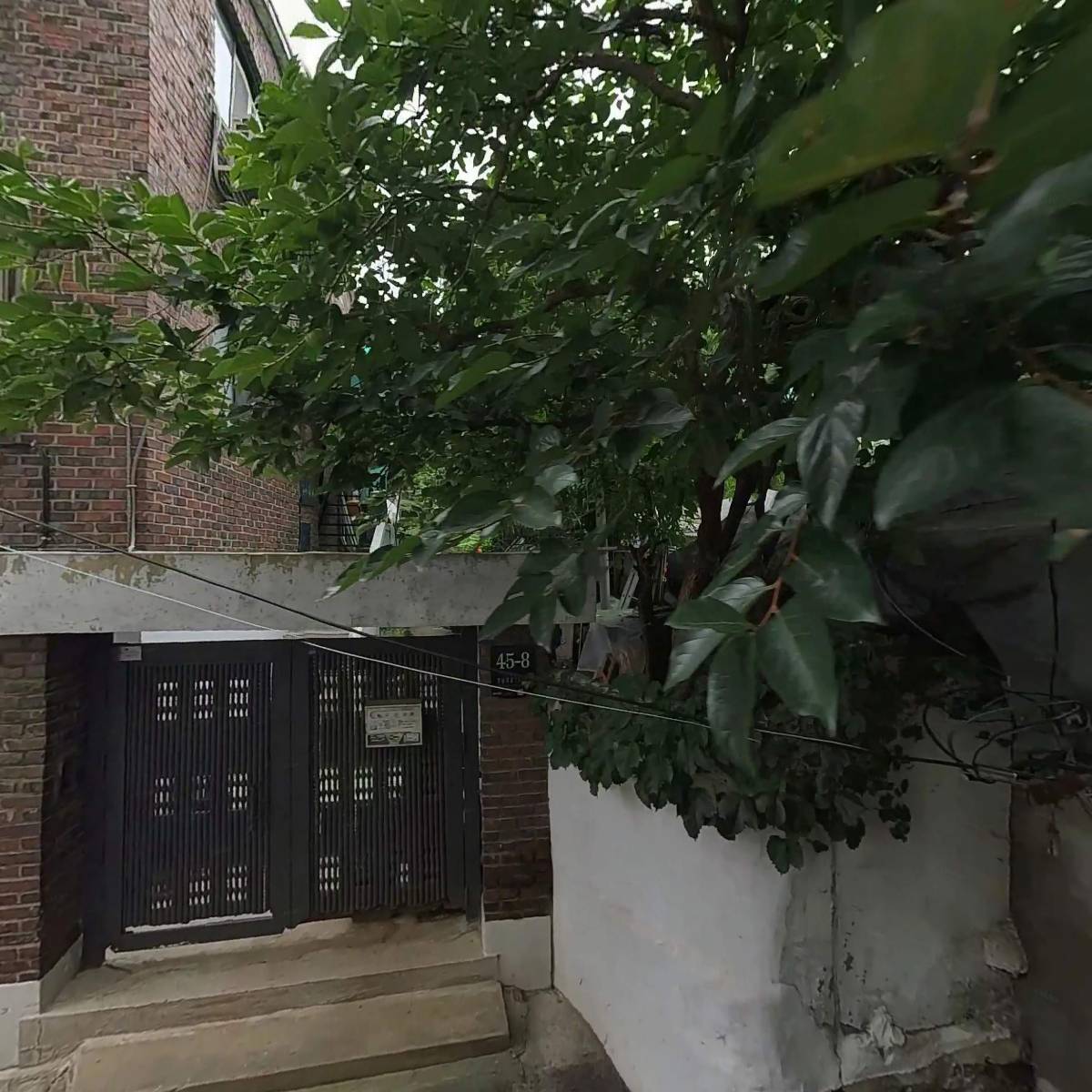 티본컴퍼니