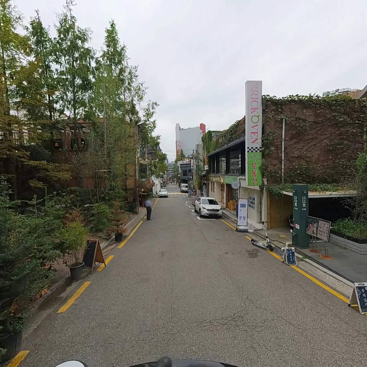 알베르_2