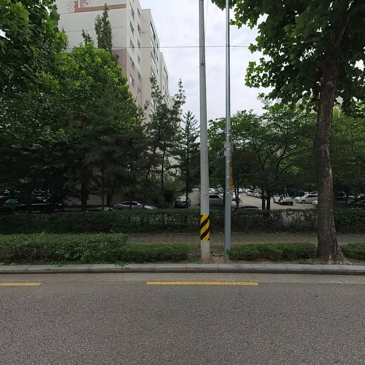 스터디25