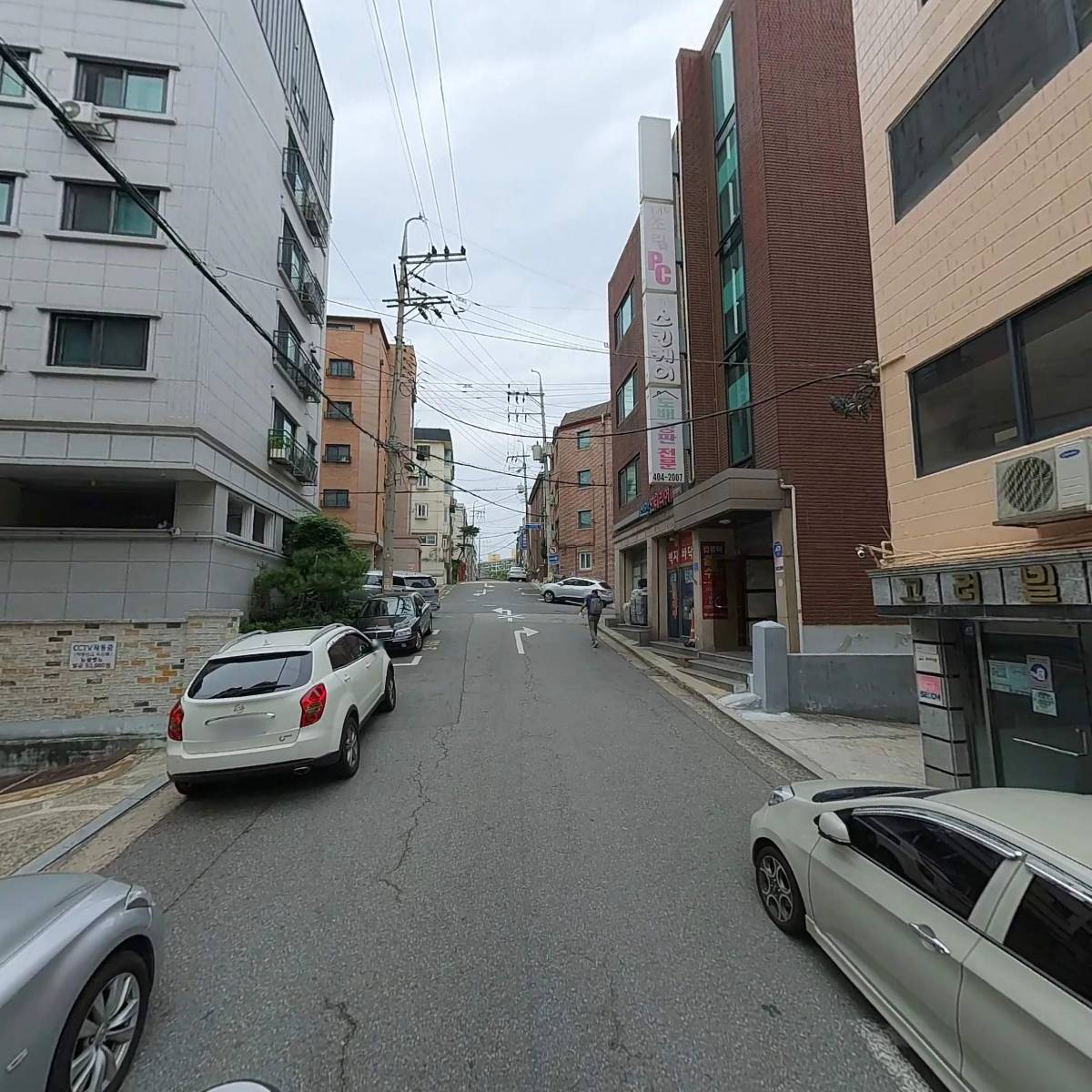 송파 콩비지_2